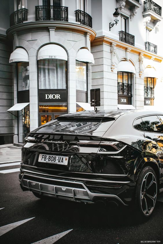 FASHION X URUS WALL ART