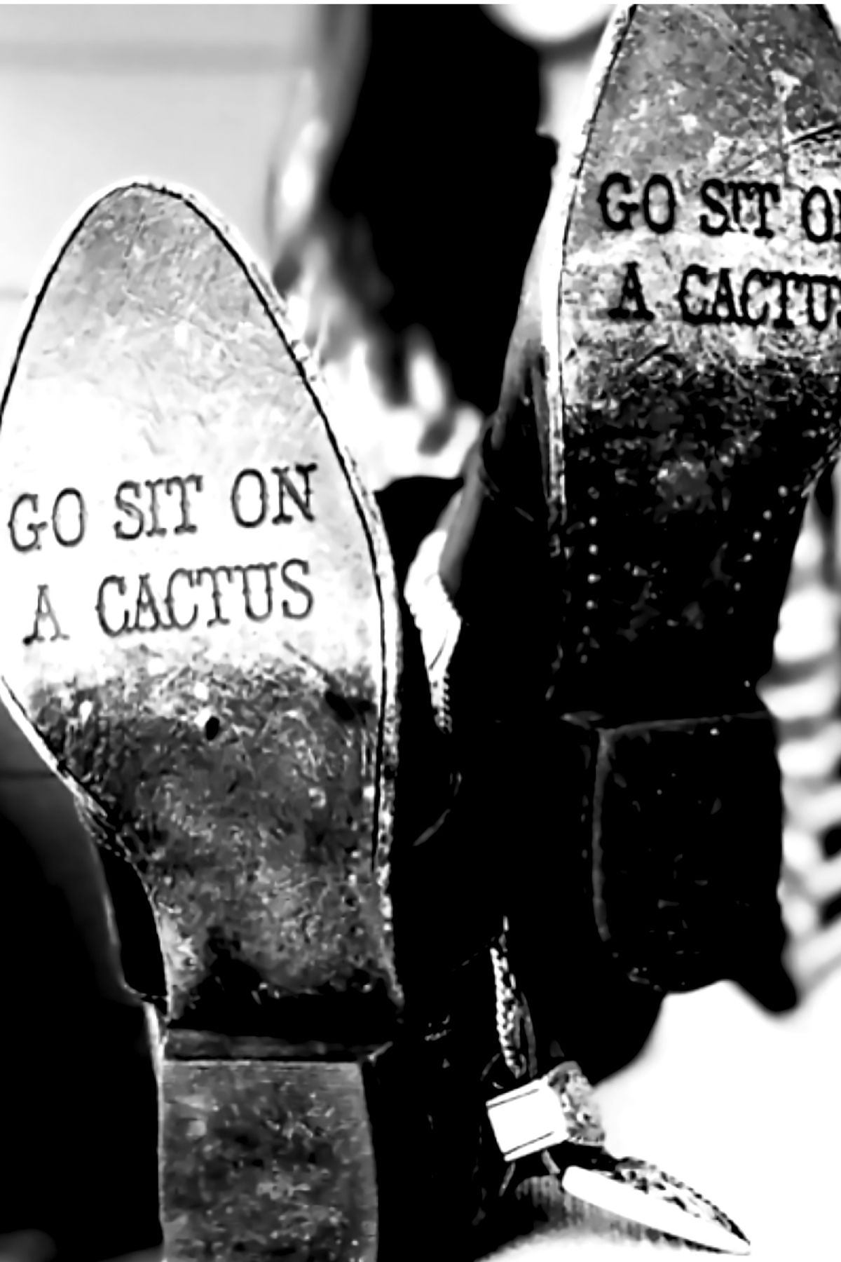 GO SIT ON A CACTUS WALL ART