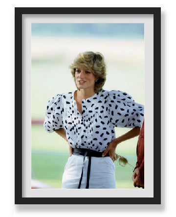 PRINCESS DIANA WALL ART