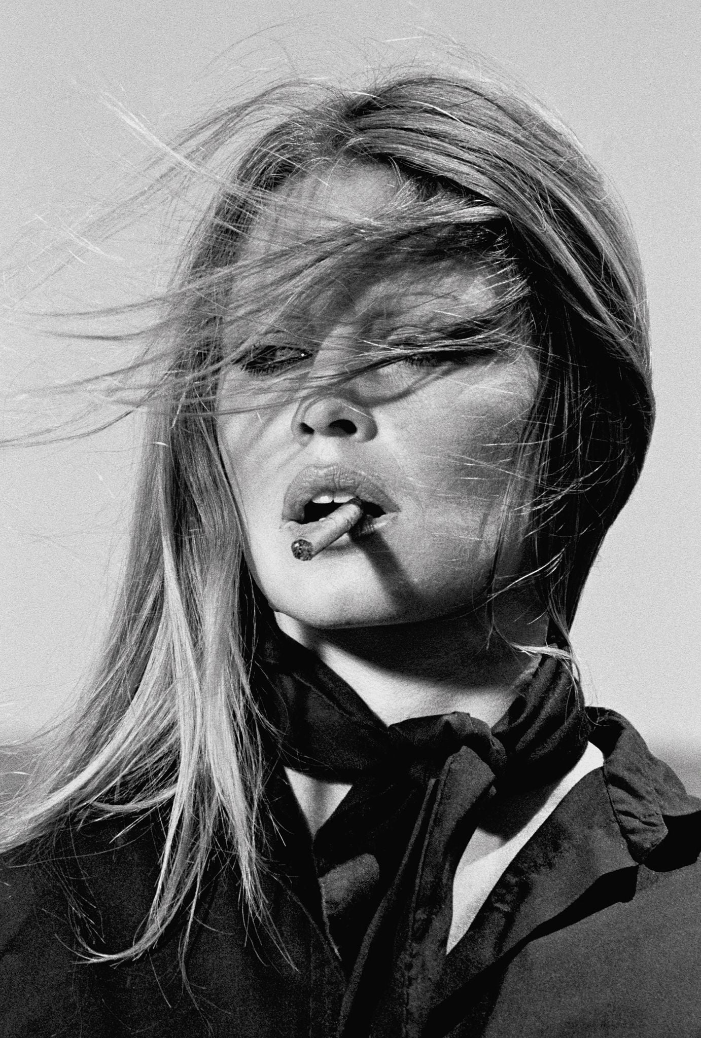 BRIGITTE BARDOT WALL ART