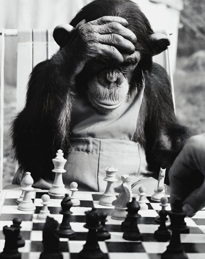 MONKEY X CHESS WALL ART