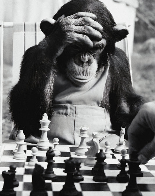 MONKEY X CHESS WALL ART