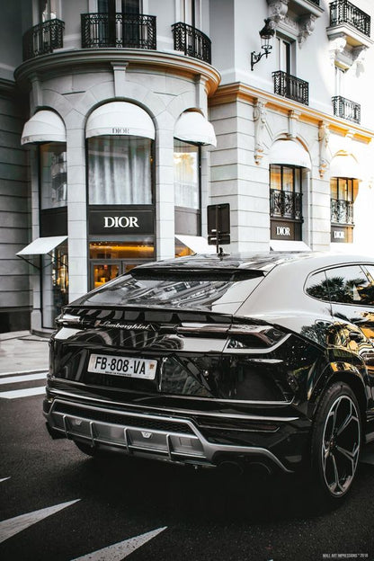 FASHION X URUS WALL ART