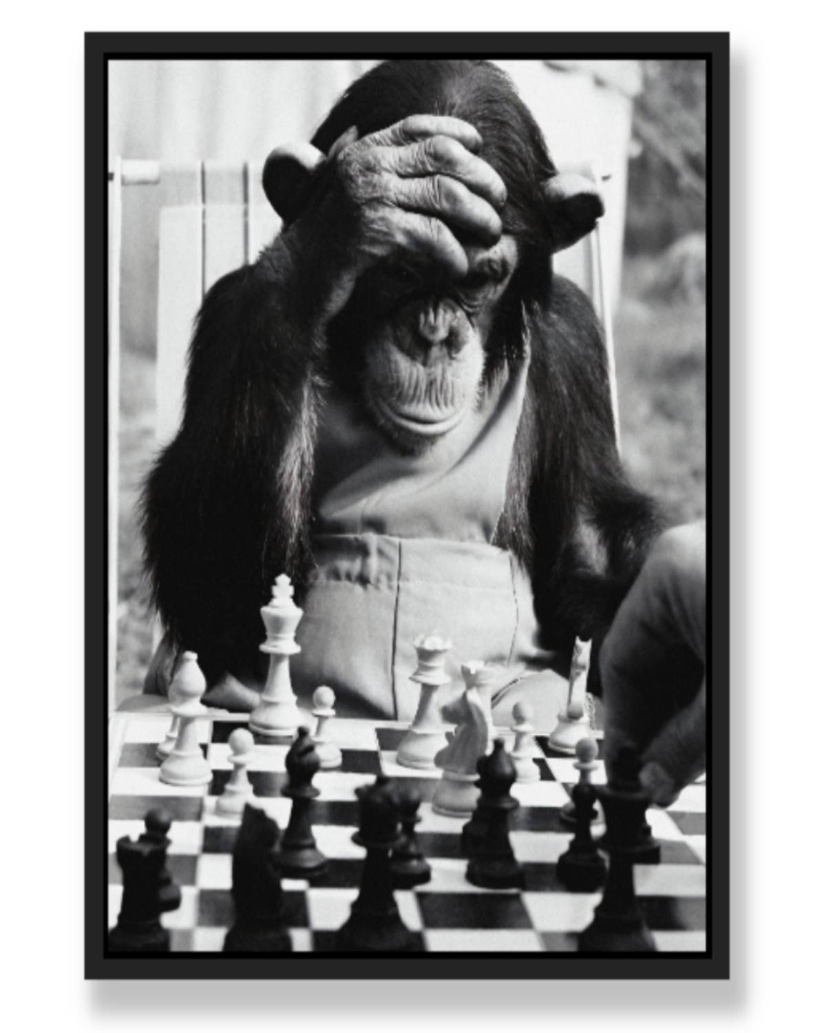 MONKEY X CHESS WALL ART