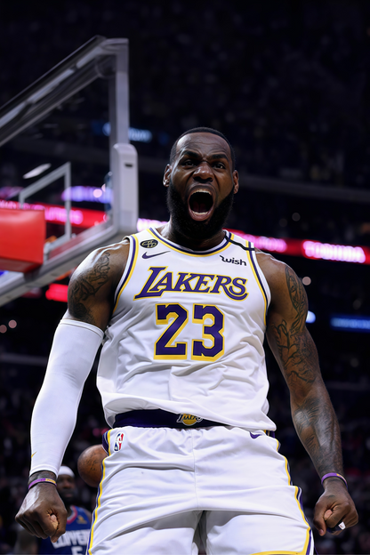 LEBRON JAMES WALL ART